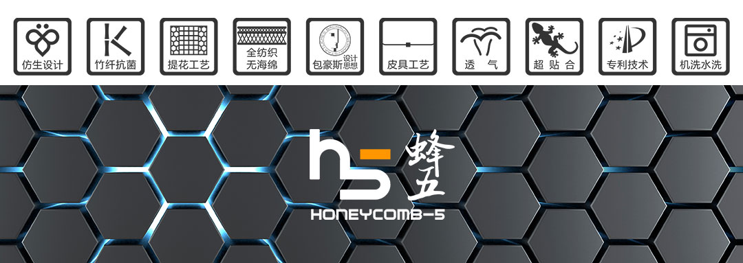 蜂巢5(圖2)