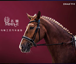 《名骝》